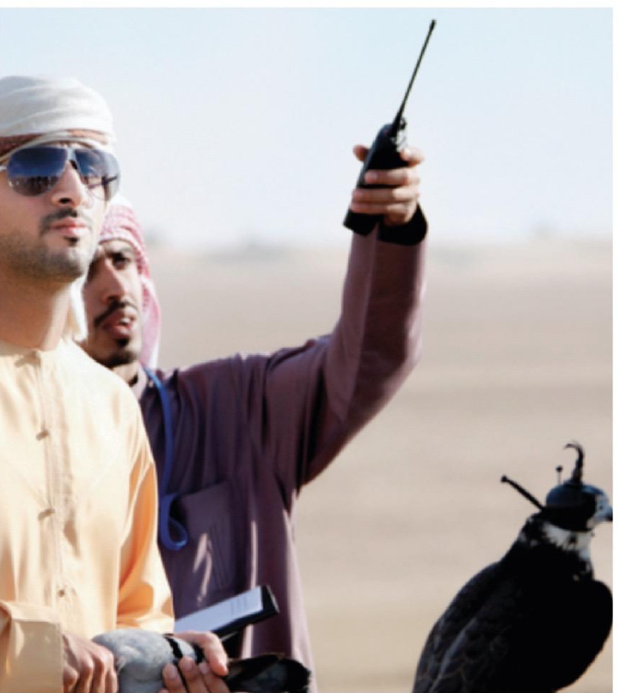 إنتاج الزاجل